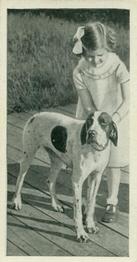 1936 Carreras Dogs & Friend #38 Pointer Front