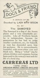 1936 Carreras Dogs & Friend #41 Samoyed Back