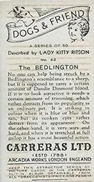 1936 Carreras Dogs & Friend #42 Bedlington Back
