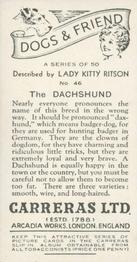 1936 Carreras Dogs & Friend #46 Dachshund Back