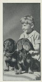 1936 Carreras Dogs & Friend #46 Dachshund Front