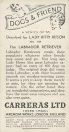 1936 Carreras Dogs & Friend #49 Labrador Retriever Back