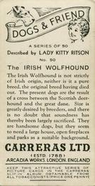 1936 Carreras Dogs & Friend #50 Irish Wolfhound Back