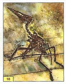 1992 Panini Prehistoric Animals Stickers #18 Pterodactyl fossil Front