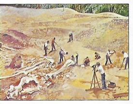 1992 Panini Prehistoric Animals Stickers #27 Excavating fossils Front