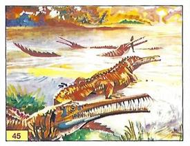 1992 Panini Prehistoric Animals Stickers #45 Mesosaurus Front