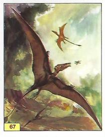 1992 Panini Prehistoric Animals Stickers #67 Rhamphorhynchus Front