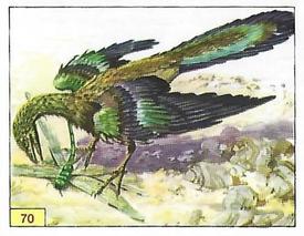 1992 Panini Prehistoric Animals Stickers #70 Archaeopteryx Front