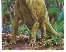 1992 Panini Prehistoric Animals Stickers #76 Brachiosaurus Front
