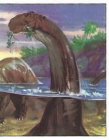 1992 Panini Prehistoric Animals Stickers #80 Brontosaurus Front