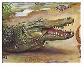 1992 Panini Prehistoric Animals Stickers #86 Phobosuchus Front