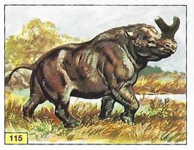 1992 Panini Prehistoric Animals Stickers #115 Brontotherium Front