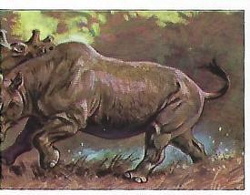 1992 Panini Prehistoric Animals Stickers #117 Uintatherium Front