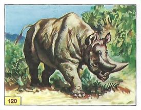 1992 Panini Prehistoric Animals Stickers #120 Arsinoitherium Front