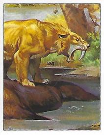 1992 Panini Prehistoric Animals Stickers #133 Smilodon Front