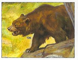 1992 Panini Prehistoric Animals Stickers #136 Cave Bear Front