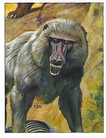 1992 Panini Prehistoric Animals Stickers #138 Giant Baboon Front