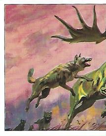 1992 Panini Prehistoric Animals Stickers #156 Megaloceros Front