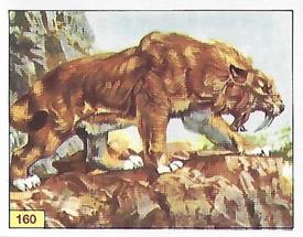 1992 Panini Prehistoric Animals Stickers #160 Smilodon Front