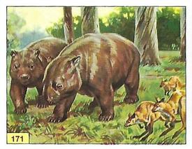 1992 Panini Prehistoric Animals Stickers #171 Diprotodon Front