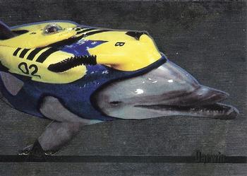 1993 SkyBox SeaQuest DSV - Foil #F1 Darwin Front