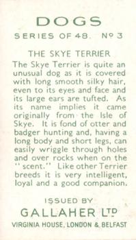 1936 Gallaher Dogs Series 1 #3 Skye Terrier Back