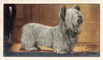 1936 Gallaher Dogs Series 1 #3 Skye Terrier Front