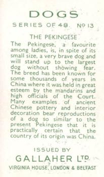 1936 Gallaher Dogs Series 1 #13 Pekingese Back
