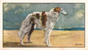 1936 Gallaher Dogs Series 1 #25 The Borzoi Front