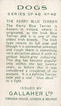 1936 Gallaher Dogs Series 1 #48 The Kerry Blue Terrier Back
