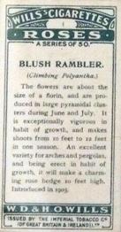 1926 Wills's Roses #1 Blush Rambler Back