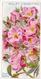 1926 Wills's Roses #1 Blush Rambler Front