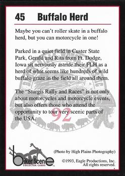 1993 Eagle Productions Black Hills Motor Classic Sturgis #45 Buffalo Herd Back