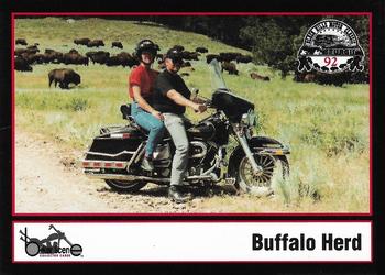 1993 Eagle Productions Black Hills Motor Classic Sturgis #45 Buffalo Herd Front