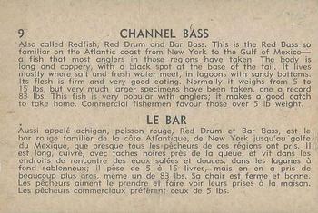 1962 Parkhurst Fish (V339-19) #9 Channel Bass Back