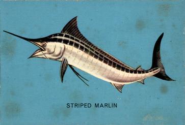 1962 Parkhurst Fish (V339-19) #12 Striped Marlin Front