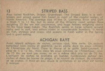 1962 Parkhurst Fish (V339-19) #13 Striped Bass Back
