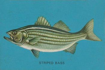 1962 Parkhurst Fish (V339-19) #13 Striped Bass Front