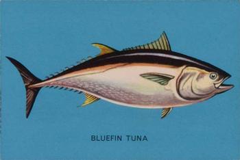 1962 Parkhurst Fish (V339-19) #18 Bluefin Tuna Front