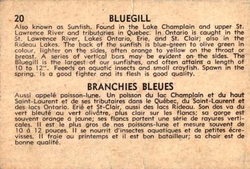 1962 Parkhurst Fish (V339-19) #20 Bluegill Back