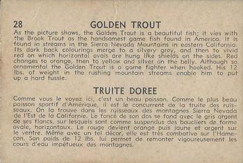 1962 Parkhurst Fish (V339-19) #28 Golden Trout Back