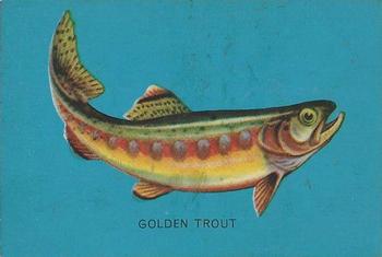 1962 Parkhurst Fish (V339-19) #28 Golden Trout Front