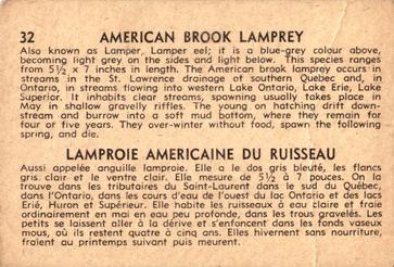 1962 Parkhurst Fish (V339-19) #32 American Brook Lamprey Back