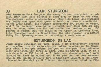 1962 Parkhurst Fish (V339-19) #33 Lake Sturgeon Back