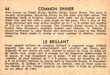 1962 Parkhurst Fish (V339-19) #44 Common Shiner Back