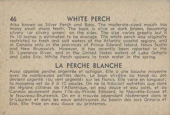 1962 Parkhurst Fish (V339-19) #46 White Perch Back