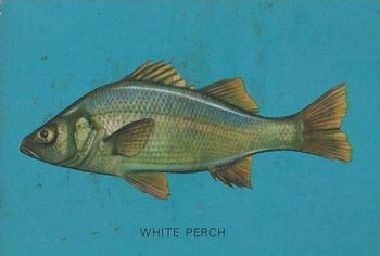 1962 Parkhurst Fish (V339-19) #46 White Perch Front