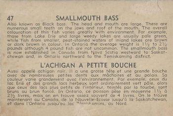 1962 Parkhurst Fish (V339-19) #47 Smallmouth Bass Back