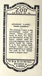 1927 Wills's Zoo #45 Arabian Camel Back