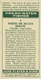 1933 Player's Fresh-Water Fishes #6 White Bream Back